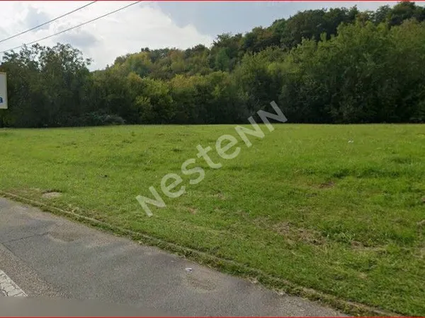 RARE TERRAIN COMMERCIAL GROSBLIEDERSTROFF