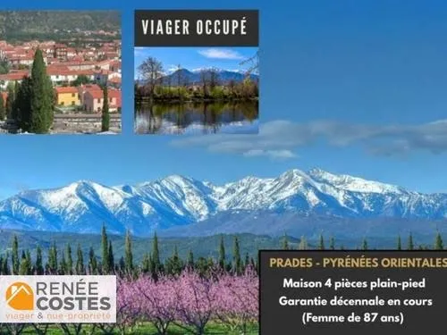 Viager 4 pièces 85 m²