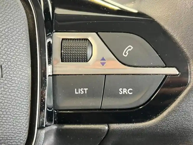Peugeot 208 affaire 1.2 puretech 75ch s&amp;s premium — photo 15