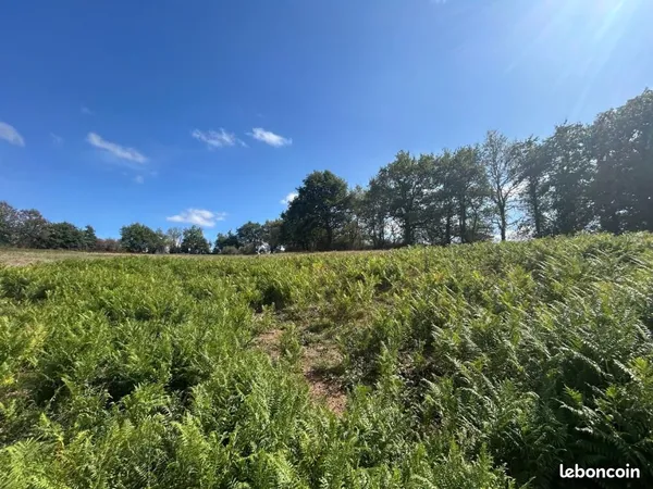 Terrain agricole 23 120 m² Apremont
