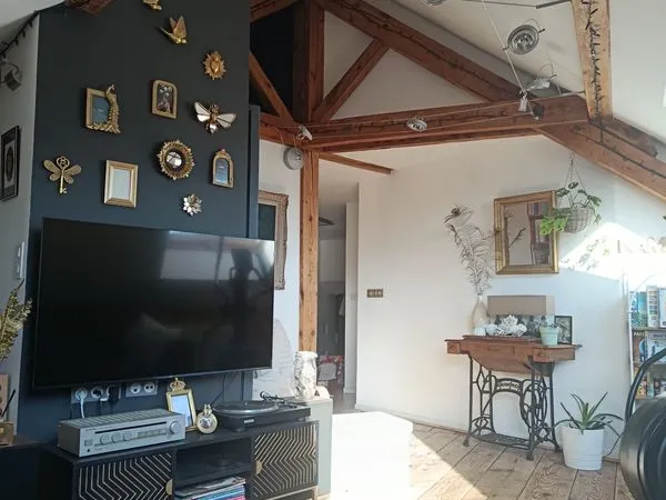Appartement BELFORT 110m² vue Lion