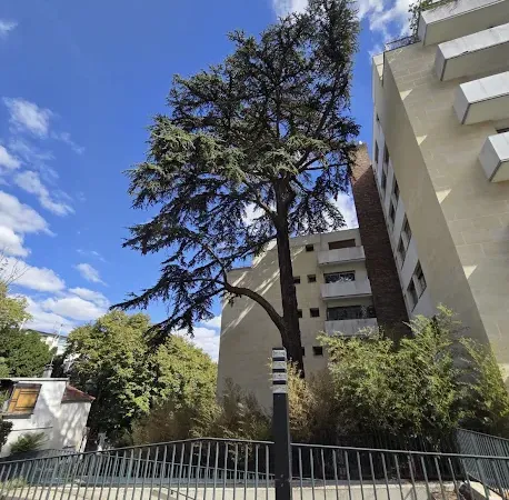 Appartement 1 pièce 18 m²