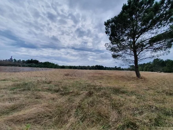LUGOS TERRAIN DE 1220 M²