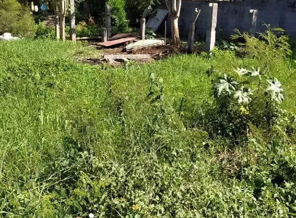 TERRAIN constructible de 431 m² plat en fond d'impasse