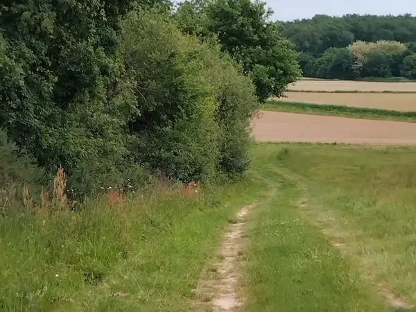 Jolie Terrain agricole boisé