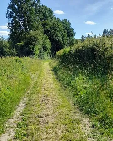 Terrain de loisir