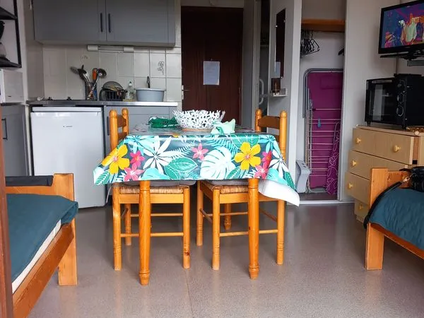 Studio entièrement rénové 1 pièce 20m2