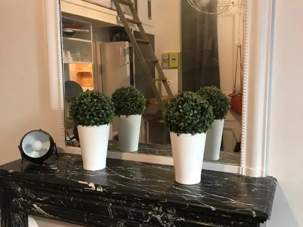 Appartement T2 souplex Monceau
