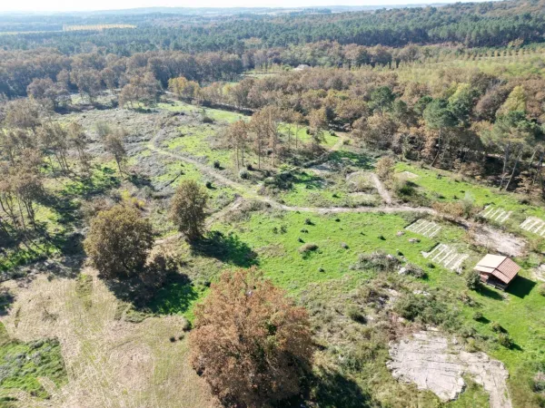 Terrain 31811 m²