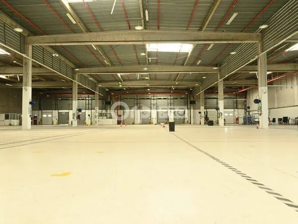 Entrepôt 3688 m²