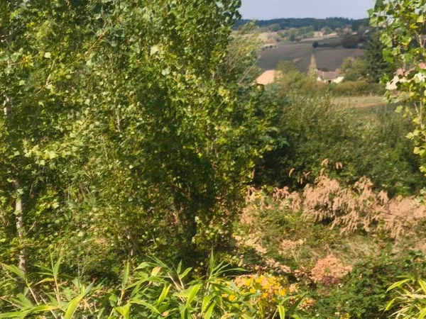 Terrain à batir