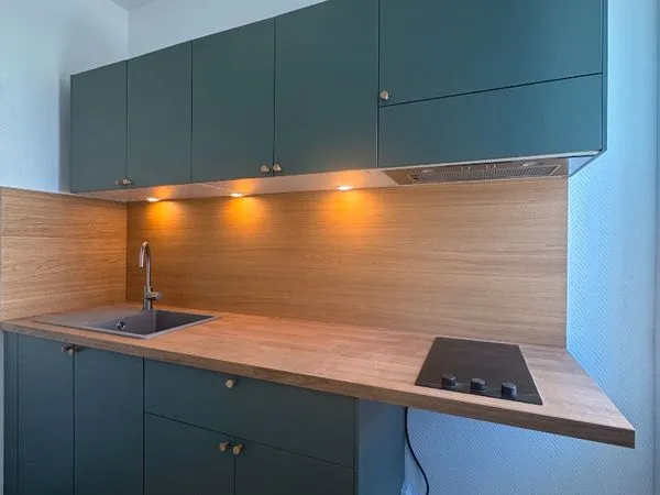 Appartement 1 pièce 24 m²