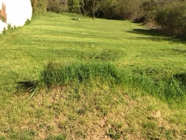 Terrain à bâtir