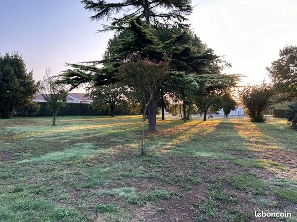 Terrain à bâtir