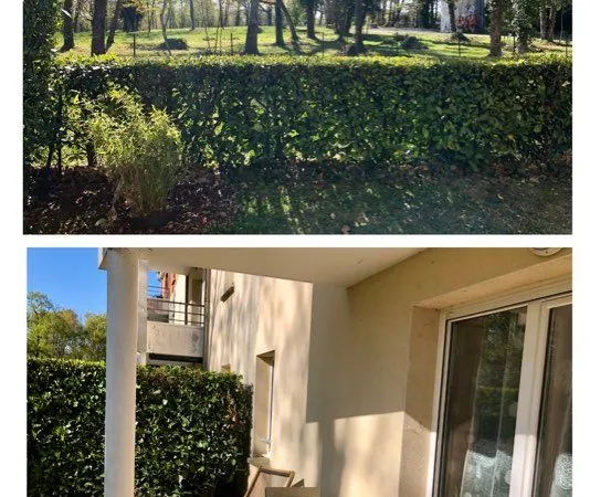 Location T2 meublé