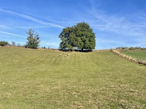 Terrain à bâtir Vente Châtonnay  1900m² 99000€