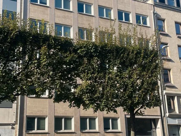 Immeuble 1510 m²