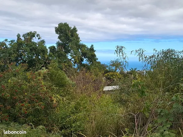 Terrain 700 m² LE TAMPON
