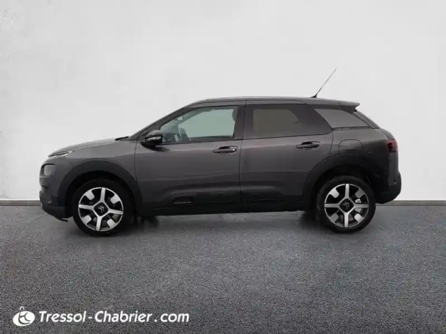 Citroën C4 cactus bluehdi 100 s&amp;s bvm6 shine — photo 5