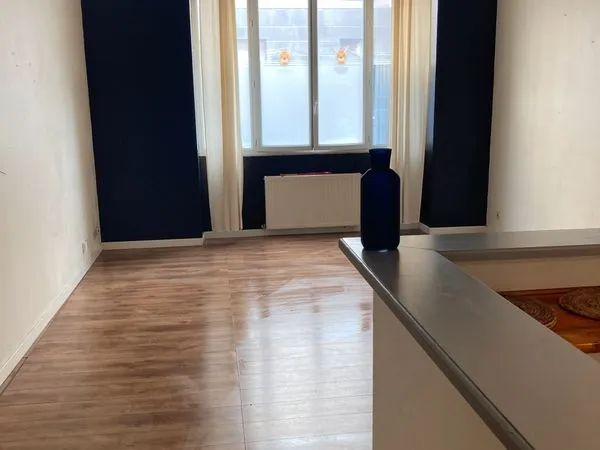 ✨ À vendre - Appartement 2 pièces lumineux 49,5m2 Quartier Gratte-ciel