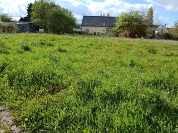Terrain 1006 m²