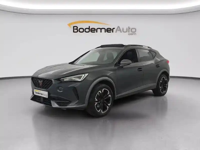 Cupra Formentor 1.5 tsi 150 ch dsg7 — photo 235