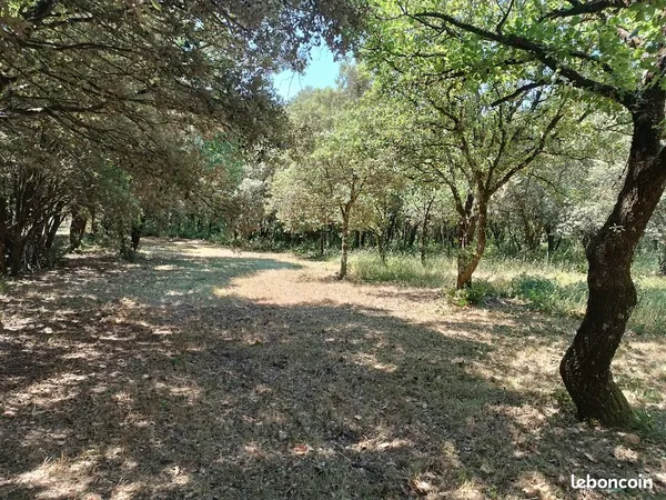 Terrain constructible