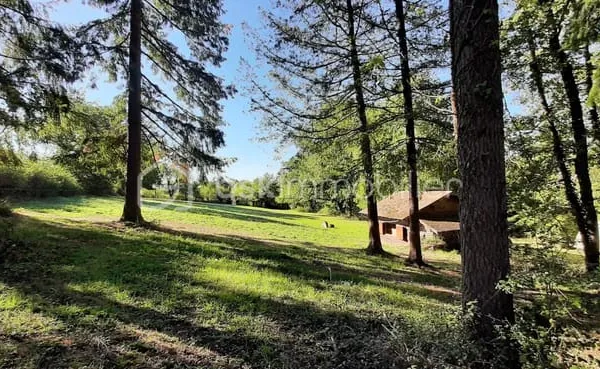 Terrain 39169 m²