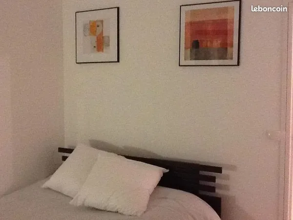Chambre à louer dans un appartement meublé à Savigny sur Orge