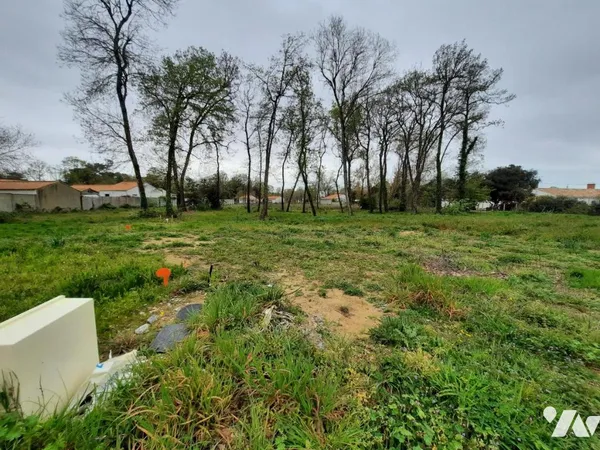 Terrain 816 m²