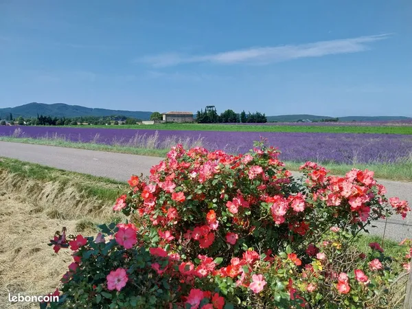 Maison partagée à la campagne