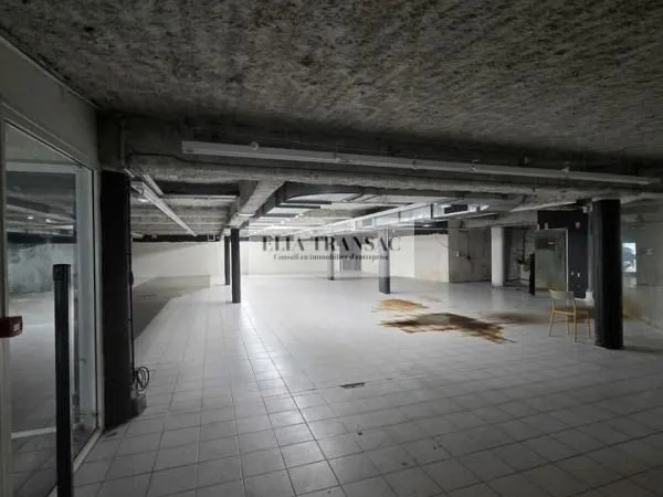 Local commercial 550 m²