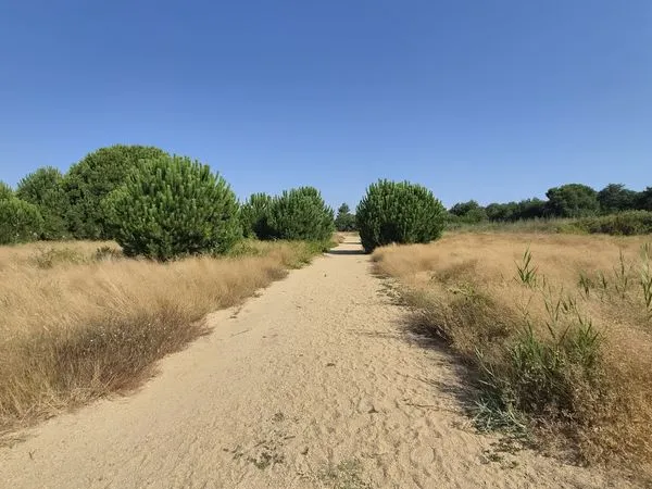 Terrain 190 m² Latour-Bas-Elne