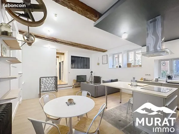 Loft 2 pièces 85 m²