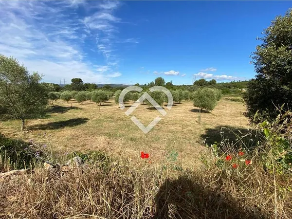Terrain 10803 m²