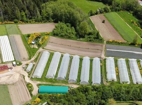 Reprise ferme maraîchage biologique