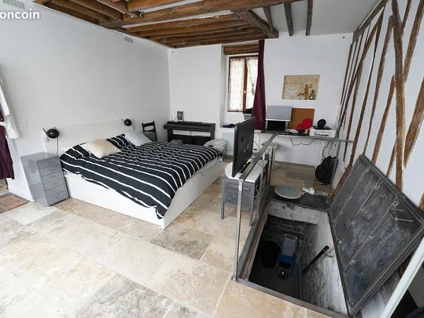 Appartement 2 pièces 48 m² + 20m² souplex - Paris 20E