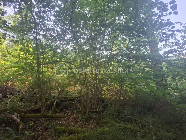 Terrain 3321 m²