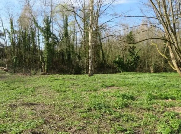 Terrain 1111 m²