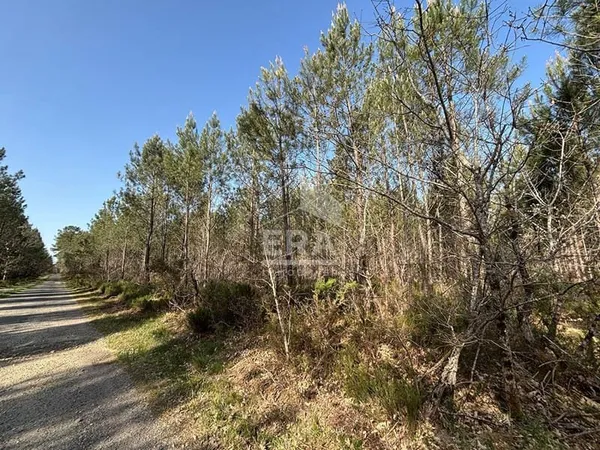 Domaine forestier Lugos 29345 m2