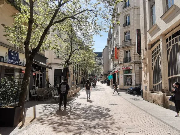 Studio 1 pièce 15 m²