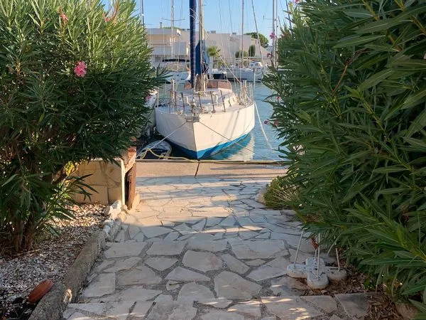 Marina traversante fort potentiel - port-camargue