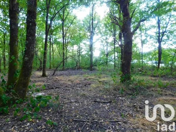 Terrain 6210 m²