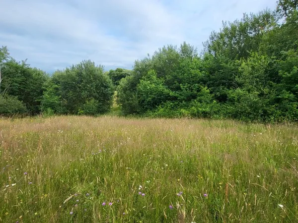 A vendre 6hectare prairies et forêt