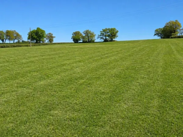 Terrain 3600 m²