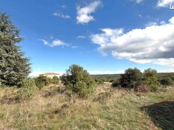Terrain 1615 m² GRAS