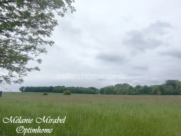 Terrain 5519 m²