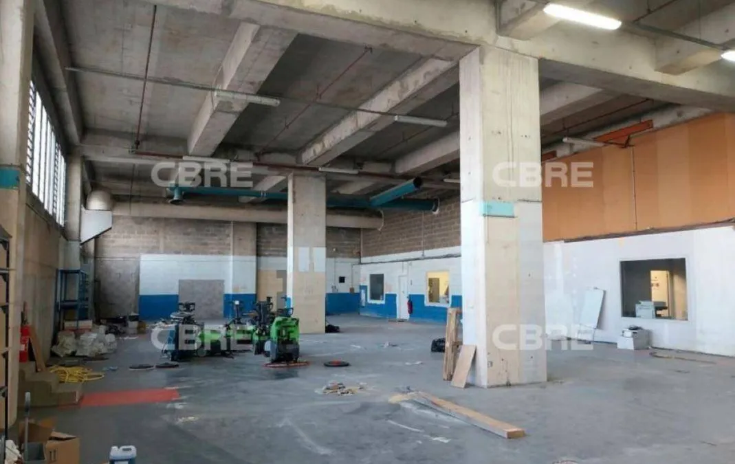 Photo 5