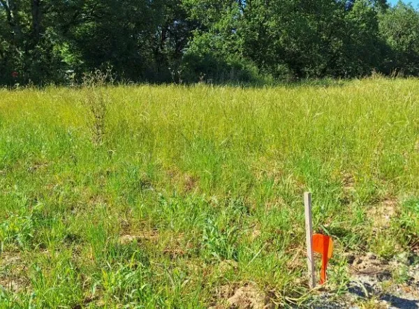 Terrain 920 m²