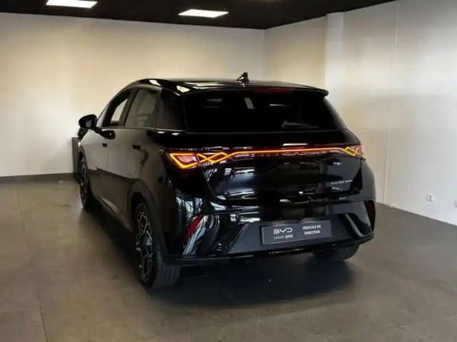 Byd Dolphin 204ch - 60,4 kwh design — photo 3
